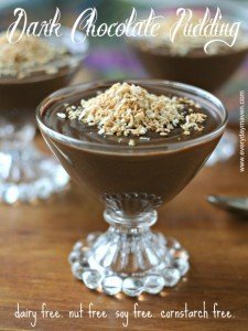 dark-chocolate-paleo-pudding